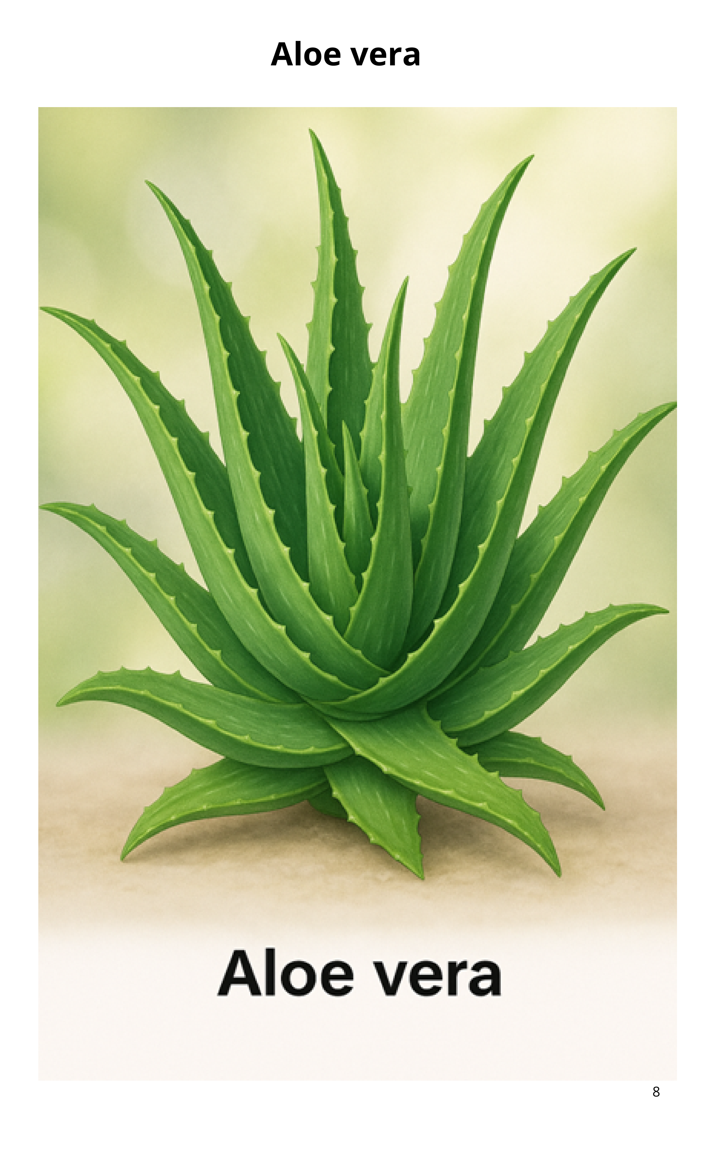 Guía Practica de Plantas Medicinales