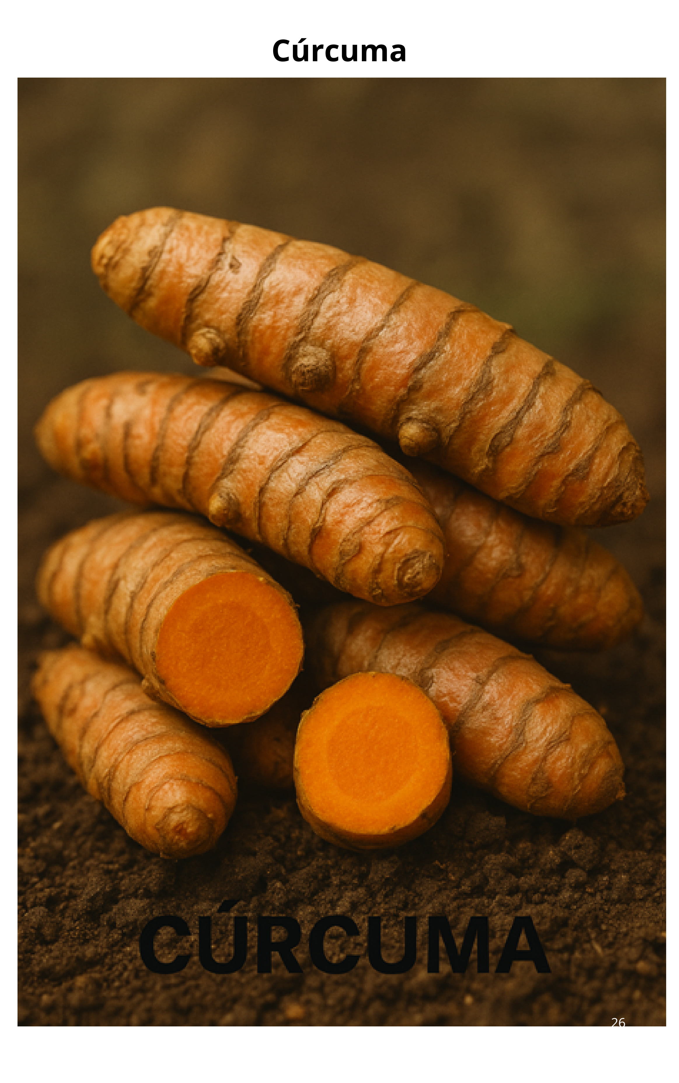 Guía Practica de Plantas Medicinales